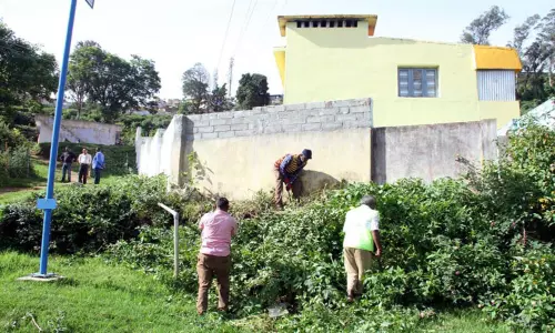 கோத்தகிரி பேரூராட்சியில் முட்புதர்களை வெட்டி அகற்றும் பணி