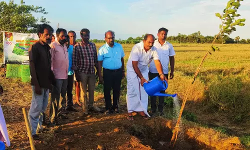 மரக்கன்று நடும் விழா