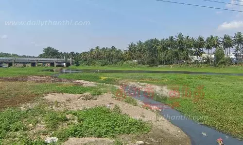 ஆழியாற்றை ஆக்கிரமித்துள்ள ஆகாய தாமரைகள்