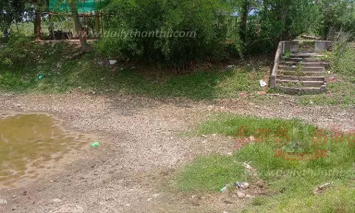 மிளகு குளத்தை தூர்வார வேண்டும்