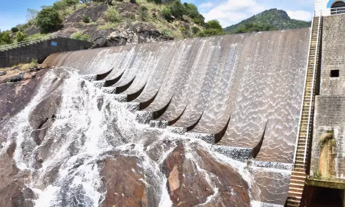 பழனி வரதமாநதி அணை நிரம்பியது