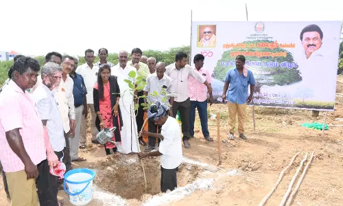 ஆவுடையார்கோவில், திருமயத்தில் மரக்கன்றுகள் நடும் நிகழ்ச்சி ஆவுடையார்கோவில், திருமயத்தில் மரக்கன்றுகள் நடும் நிகழ்ச்சி