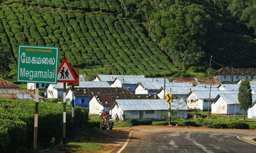 தேனி, மேகமலைக்கு சுற்றுலா செல்வதற்கு கடந்த ஒரு மாதமாக விதிக்கப்பட்ட தடை நீக்கம்