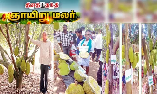 தலைமுறைகளை கடந்து பலன் தரும் பலா