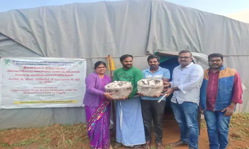 கிராமப்புற பொருளாதாரத்தை மேம்படுத்தும் வகையில் காளான் வளர்ப்பில் ஈடுபட விவசாயிகளுக்கு அதிகாரிகள் அறிவுரை