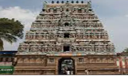 ஆறுமுகநேரி சோமநாத சுவாமி கோவில்ஆனி உத்திரப்பெருவிழா