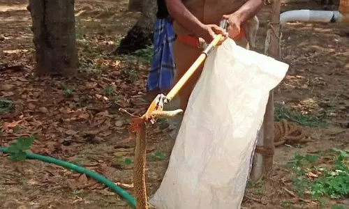 கிணற்றில் கிடந்த 7 அடி நீள நல்லபாம்பு