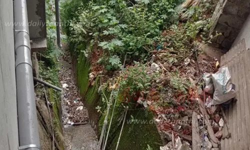 கால்வாய்களை தூர்வார வேண்டும் கால்வாய்களை தூர்வார வேண்டும்