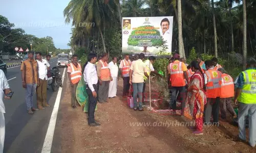 நெடுஞ்சாலைத்துறை சார்பில் மரக்கன்றுகள் நடவு
