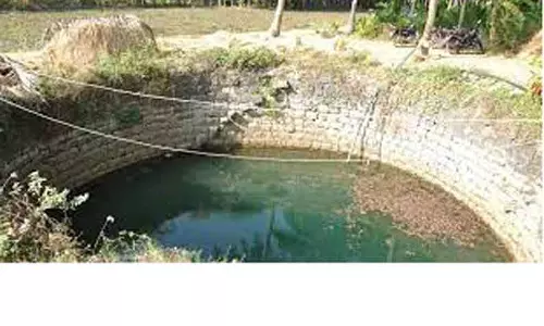 தர்மபுரி அருகே கிணற்றில் மூழ்கி நகைக்கடை ஊழியர் சாவு