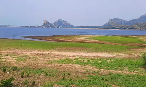 நீர்வரத்து இல்லாமல் வறண்டு வரும் அணைகள்