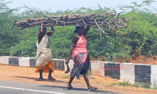மண்எண்ணெய், விறகு அடுப்பு பயன்படுத்தும் கிராம மக்கள்