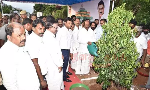 நெடுஞ்சாலைத்துறை சார்பில் மரக்கன்றுகள் நடும் நிகழ்ச்சி