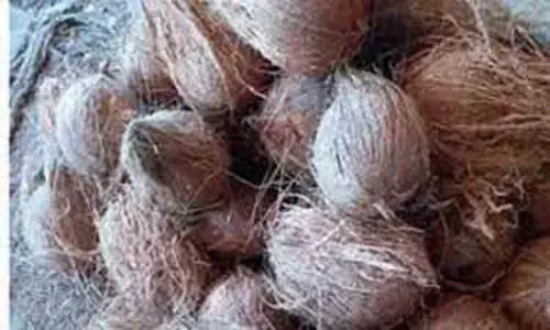 ஒழுங்குமுறை விற்பனைக்கூடத்தில் ரூ.5¼ லட்சத்துக்கு தேங்காய் ஏலம்