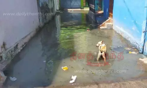 கால்வாய்களில் ஏற்பட்டுள்ள அடைப்புகளை அகற்றாததால் சாலைகளில் கழிவுநீர் வழிந்து ஓடும் அவல நிலை