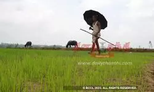 ஒருங்கிணைந்த வேளாண் வளர்ச்சி திட்டத்தில் விவசாயிகளுக்கு மானிய விலையில் இடுபொருட்கள் ஒருங்கிணைந்த வேளாண் வளர்ச்சி திட்டத்தில் விவசாயிகளுக்கு மானிய விலையில் இடுபொருட்கள்