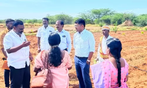 வேளாண் வளர்ச்சி திட்ட பணிகளை கலெக்டர் ஆய்வு