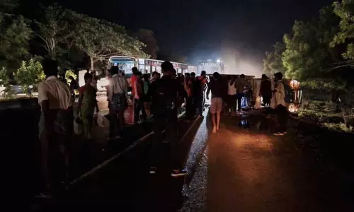 15 பன்றிகளுடன் மினி லாரி கவிழ்ந்தது