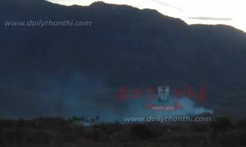 களக்காடு மலையில் காட்டுத்தீ களக்காடு மலையில் காட்டுத்தீ