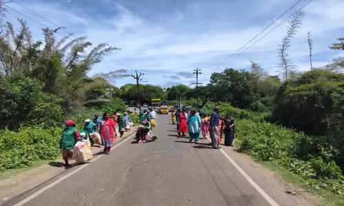 தூய்மை நகரங்களுக்கான மக்கள் இயக்கம் சார்பில் கூடலூர், மசினகுடி, ஓவேலி பகுதிகளில் தூய்மை பணிகள் தீவிரம் தூய்மை நகரங்களுக்கான மக்கள் இயக்கம் சார்பில் கூடலூர், மசினகுடி, ஓவேலி பகுதிகளில் தூய்மை பணிகள் தீவிரம்
