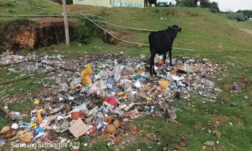 எடப்பள்ளி ஊராட்சியில் குவிந்து கிடக்கும் பிளாஸ்டிக் குப்பைகள்-கால்நடைகள் உயிரிழக்கும் அபாயம்