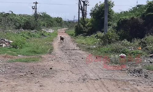 சேதம் அடைந்த சாலைகள் சீரமைக்கப்படுமா?