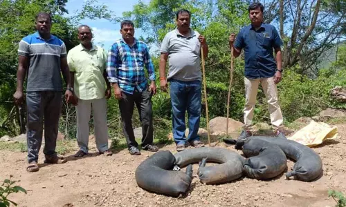 360 லிட்டர் சாராயம் பறிமுதல் 360 லிட்டர் சாராயம் பறிமுதல்