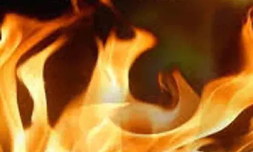 வைக்கோல் படப்பில் திடீர் தீ