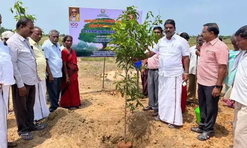 மரக்கன்றுகள் நடும் விழா மரக்கன்றுகள் நடும் விழா