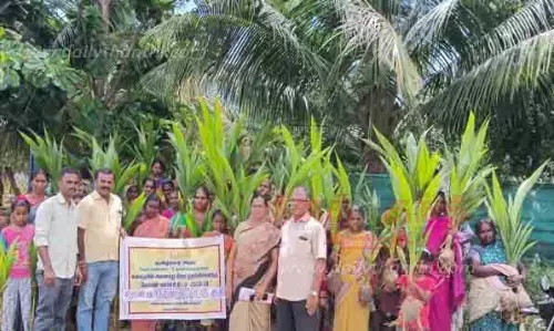 விவசாயிகளுக்கு தென்னங்கன்று வழங்கும் நிகழ்ச்சி