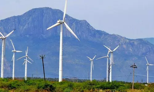 தமிழகத்தில் காற்றாலை மின்உற்பத்தி 10 ஆயிரம் மெகாவாட்டாக அதிகரிப்பு தமிழகத்தில் காற்றாலை மின்உற்பத்தி 10 ஆயிரம் மெகாவாட்டாக அதிகரிப்பு