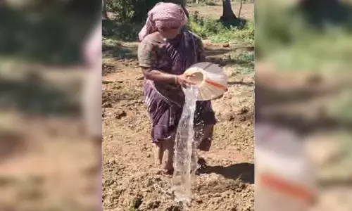 கருகும் வாழைக்கன்றுகளுக்கு தொழிலாளர்கள் மூலம் தண்ணீர் ஊற்றும் விவசாயிகள்