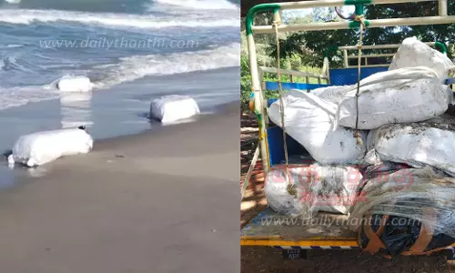 தனுஷ்கோடி கடற்கரையில் கரை ஒதுங்கி கிடந்த பீடி இலை பண்டல்கள் ேசகரிப்பு