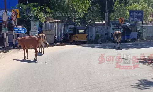 போக்குவரத்துக்கு இடையூறாக சுற்றித்திரியும் கால்நடைகள்