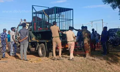 கரடி நடமாட்டத்தை தீவிரமாக கண்காணித்து வரும் வனத்துறையினர் கரடி நடமாட்டத்தை தீவிரமாக கண்காணித்து வரும் வனத்துறையினர்