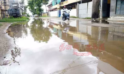 மாவட்டத்தில் பரவலாக மழை மாவட்டத்தில் பரவலாக மழை