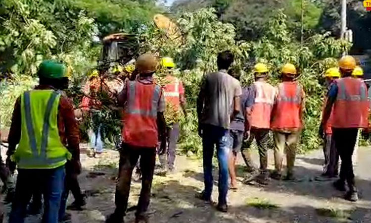 சென்னை எழும்பூரில் மரம் முறிந்து விழுந்து கர்ப்பிணி பெண் காவலர் காயம்..!
