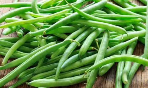 தெருவோர வியாபாரிகளுக்கு கமிட்டி அமைக்க வேண்டும்