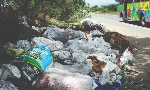 சாலையோரம் கொட்டப்படும் கழிவுகளால் சுகாதார சீர்கேடு