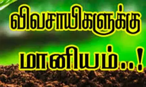 சிறு, குறு விவசாயிகள் சொட்டுநீர் பாசனம் அமைக்க ரூ.13 கோடி நிதி ஒதுக்கீடு சிறு, குறு விவசாயிகள் சொட்டுநீர் பாசனம் அமைக்க ரூ.13 கோடி நிதி ஒதுக்கீடு