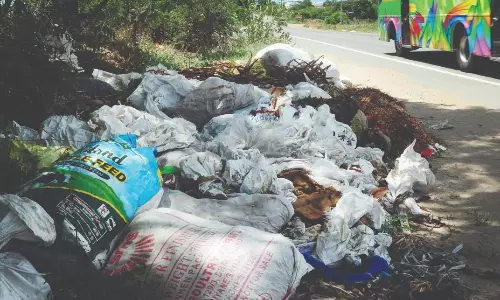 சாலையோரம் கொட்டப்படும் கழிவுகளால் சுகாதார சீர்கேடு