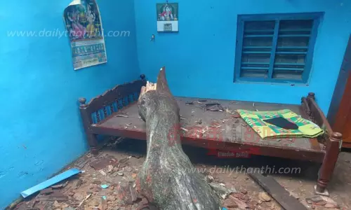 வீட்டின் மீது மரம் விழுந்து பெண் படுகாயம் வீட்டின் மீது மரம் விழுந்து பெண் படுகாயம்