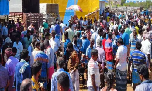 மேலப்பாளையம் சந்தையில் ஆடுகள் விற்பனை மும்முரம்