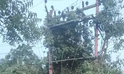 விழுப்புரத்தில் பலத்த காற்றுடன் மழை