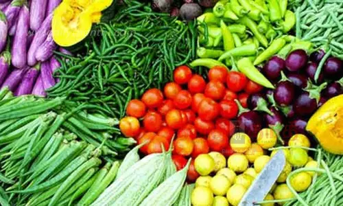 வீட்டு காய்கறி தோட்டங்கள் அமைக்க பொதுமக்களுக்கு அறிவுறுத்தல்