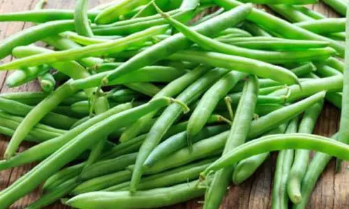 1 லட்சத்து 13 ஆயிரம் டன் காய்கறி, பழங்கள் ரூ.310 கோடிக்கு விற்பனை