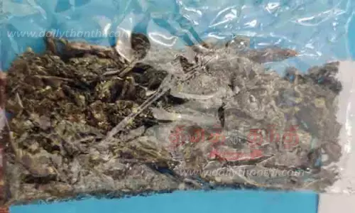 ராமநாதபுரம் கோர்ட்டுக்கு கஞ்சா எடுத்து வந்த வாலிபர் கைது