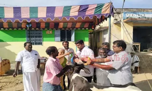 கால்நடை மருத்துவ முகாம்