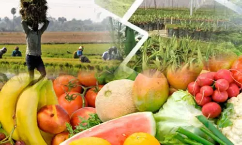 பூதப்பாடி, கொடுமுடி, அந்தியூர் ஒழுங்குமுறை விற்பனைக்கூடங்களில் ரூ.52½ லட்சத்துக்கு விவசாய விளைபொருட்கள் ஏலம் பூதப்பாடி, கொடுமுடி, அந்தியூர் ஒழுங்குமுறை விற்பனைக்கூடங்களில் ரூ.52½ லட்சத்துக்கு விவசாய விளைபொருட்கள் ஏலம்