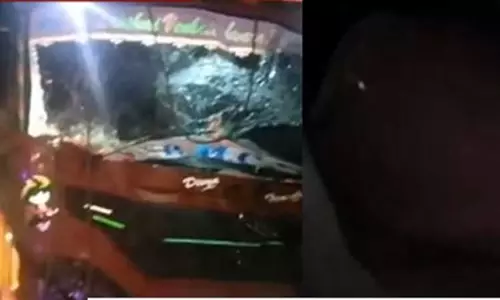 ஆந்திர மாநிலம் ஜகர்மலா பகுதியில் லாரி மோதி 3 யானைகள் உயிரிழப்பு ஆந்திர மாநிலம் ஜகர்மலா பகுதியில் லாரி மோதி 3 யானைகள் உயிரிழப்பு